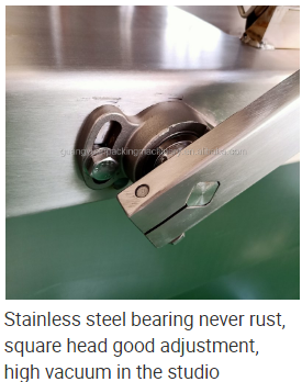 Stainless Steel Bearing of Double Chamber Vacuum Packing Machine